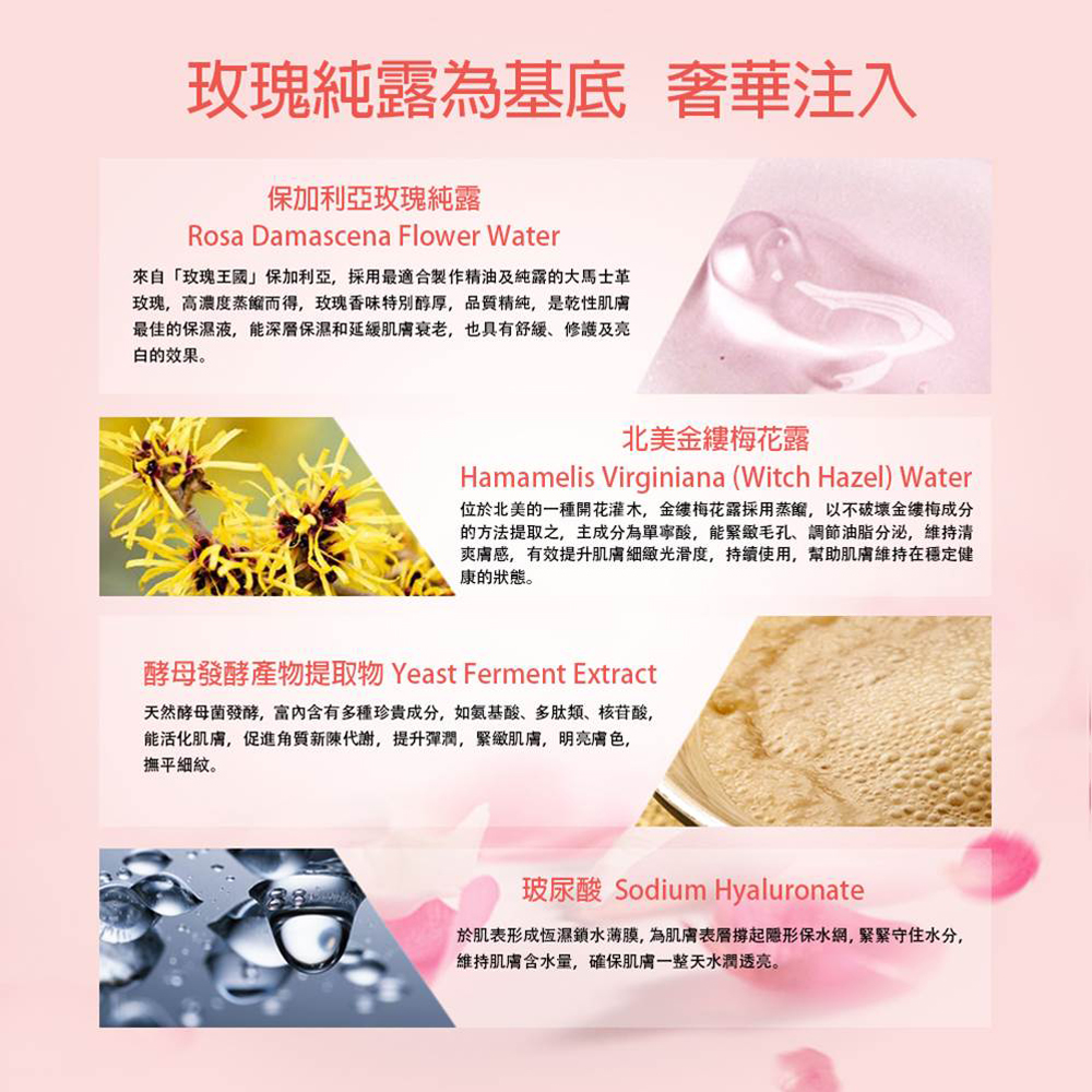 圖片8 (3).jpg