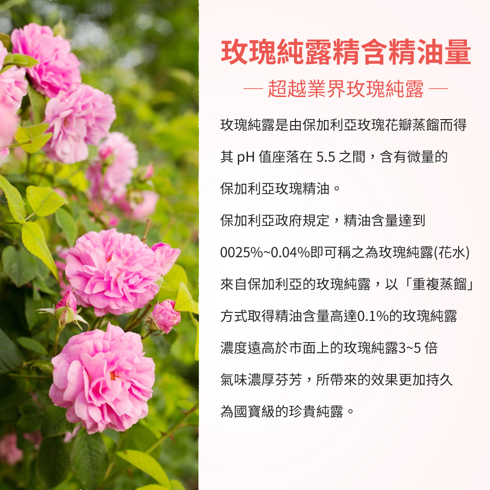 圖片10 (2).jpg
