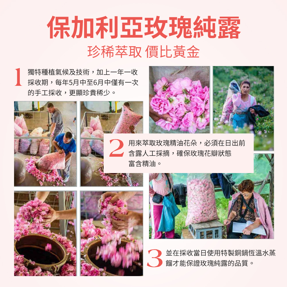 圖片14 (2).jpg