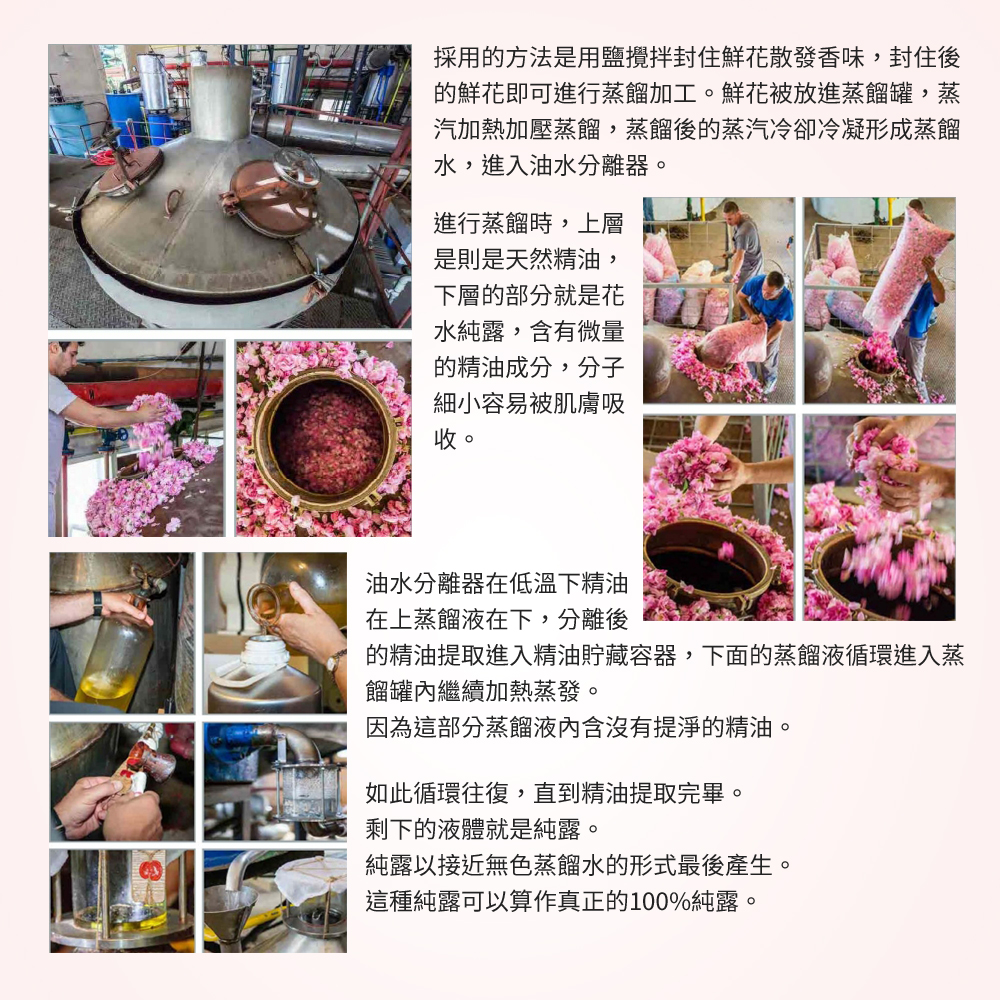 圖片15 (1).jpg