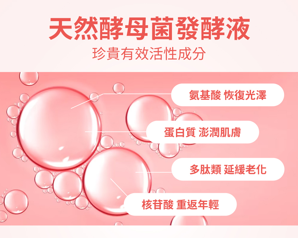 圖片19 (2).jpg