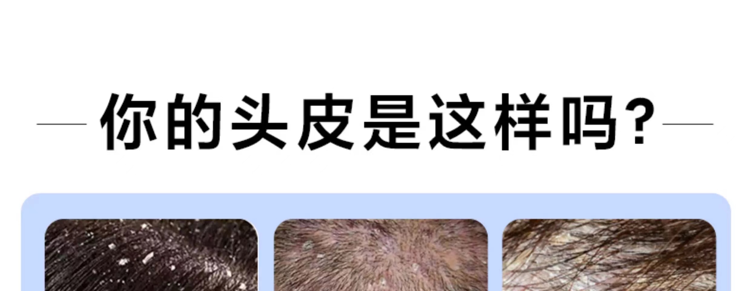 6af9a0a1e188f71c240c665533688ea.jpg